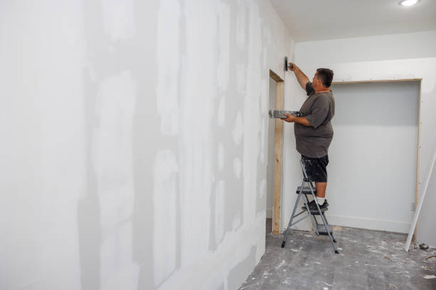 Best Black Mold Removal  in USA